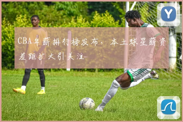 CBA年薪排行榜发布，本土球星薪资差距扩大引关注