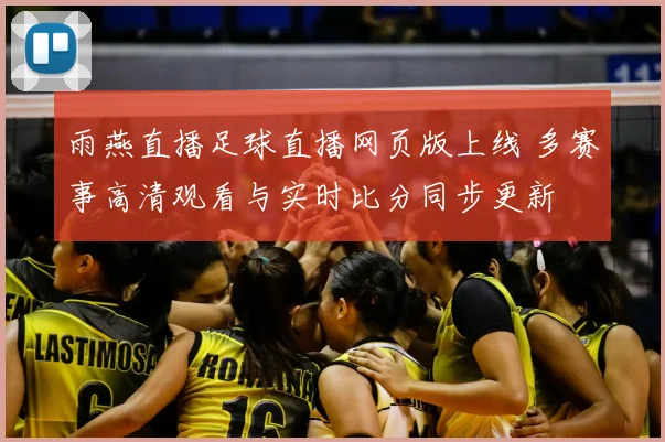 雨燕直播足球直播网页版上线 多赛事高清观看与实时比分同步更新