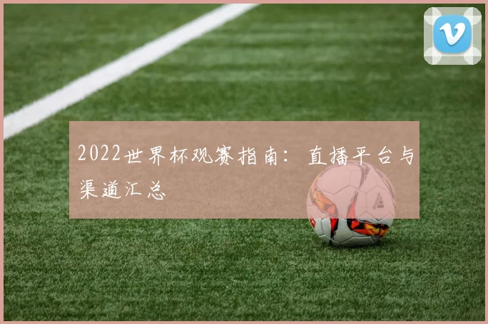 2022世界杯观赛指南:直播平台与渠道汇总