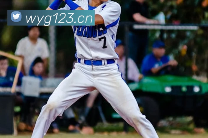 星空体育官网首页平台生态图